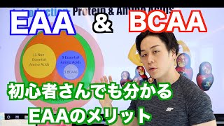 EAAとBCAAについて改めて解説！オススメのEAAサプリは？ [upl. by Soalokcin827]