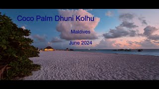 Coco Palm Dhuni Kolhu Maldives  June 2024 [upl. by Lamahj931]