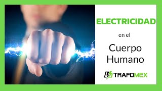 ELECTRICIDAD EN EL CUERPO HUMANO 🔥 Estatica ⭐ [upl. by Gaves]