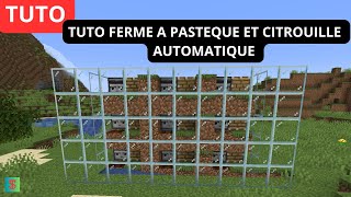 FERME A PASTEQUE ET CITROUILLE AUTOMATIQUE minecraft [upl. by Krystle319]