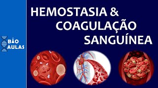 Hemostasia e Coagulação Sanguínea Atuação das Plaquetas e a Cascata de Coagulação [upl. by Eleets234]