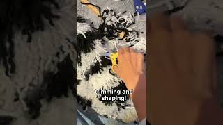 Make a ringtailed lemur tail with me for snapdragonz [upl. by Nnayllek]