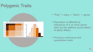 Heterogenic vs Polygenic Traits [upl. by Zacharie]