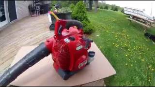 Efco SA 3000 Leaf Blower 2 stroke [upl. by Sandeep]