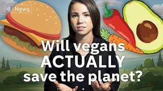 Why you dont need to give up meat to save the planet [upl. by Greenfield493]