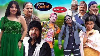 Halka Ramailo  हल्का रमाईलो  Episode 242  04 August  2024  Balchhi Dhurbe  Nepali Comedy [upl. by Malony]