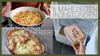 Nur 3 Stunden kochen für eine Woche  Freezer Meals im Test [upl. by Eidnak]