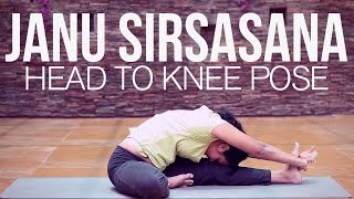 How to do Janu Sirsasana Head to Knee Pose [upl. by Matthaeus]