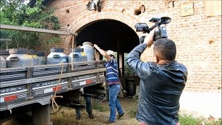 Bastidores da reportagem da coleta do leite aquelas cenas que vc não vê na TV [upl. by Knitter203]