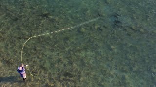 Fly Fishing New Zealands Giant Trout River Day 1 [upl. by Calore]