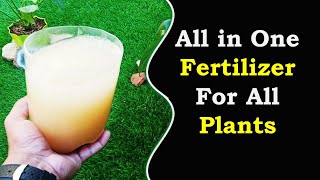 Organic fertilizer for plants [upl. by Ahteral564]