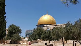 آذان وصلاة الظهر من المسجد الأقصى المبارك Athan and Dhuhr prayer from the blessed AlAqsa Mosque [upl. by Arand]