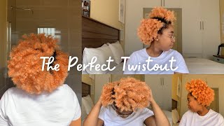 How to get the Perfect Twistout on Type 4 Hair  Tutorial [upl. by Truda686]