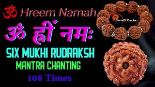 Rudraksh Mantra Chanting 6 Mukhi  Sacred Chant for Rudraksha  6 Face Rudraksham Beej Mantra [upl. by Rickert]