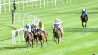 Punchestown Festival Highlights  DAY 1 [upl. by Akived525]