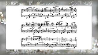 Bortkiewicz Consolation Op 17 No 2 Garritan Yamaha CFX Piano [upl. by Droc]