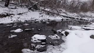 Canadian Nature ASMR Gentle stream sounds 8 hours [upl. by Buffy139]