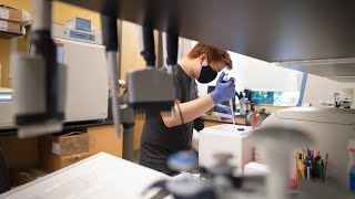 Inside the Lab Biochemistry and Molecular Biology at Dickinson College [upl. by Rockafellow958]