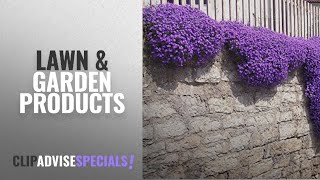 10 Best Selling Wbut2023 Lawn amp Garden Products 2018  250 Aubrieta Seeds  Cascade Purple Flower [upl. by Eanrahs]