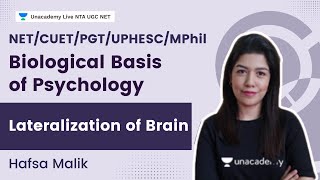 Lateralization of Brain  Biological Basis of Psychology  NETCUETPGTUPHESCMPhil  Hafsa Malik [upl. by Piefer]