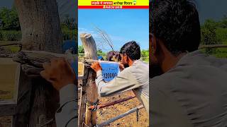 लड़के ने किया अनोखा कांड Wood working with art handcraft ideas home maderal telentskillar [upl. by Yenroc105]