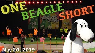 The WoofJocks Canine All Stars at Canadas Wonderland  May 20 2019 [upl. by Jacquet757]