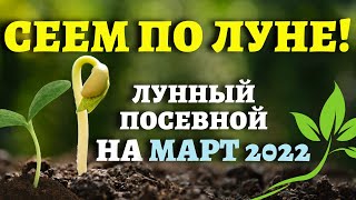 ТОЧНЫЙ ЛУННЫЙ ПОСЕВНОЙ КАЛЕНДАРЬ НА МАРТ 2022 по дням лунныйпосевнойкалендарь март2022 [upl. by Lemmor]