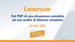 Dal PDF di una situazione contabile ad unanalisi completa in un clic [upl. by Laughry]