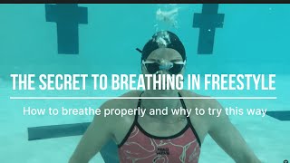 The secret to breathing in freestyle  Breathing techniques by Olympian Laura Strugnell [upl. by Edgardo833]