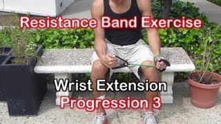 Resistance Band Exercises for Golf Elbow amp Tennis Elbow Tendonitis [upl. by Xanthe214]