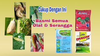 Keunggulan Insektisida Bahan Aktif METOMIL [upl. by Risteau]