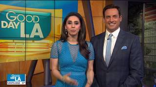 Northridge Hospitals Dr Mark Liker Discusses Digital Dementia on Good Day LA [upl. by Mariand190]