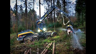 🌲4K Ponsse ScorpionKing amp Vorfäller • Big trees vs Harvester • Forestwork • Ponsse Logging🌲 [upl. by Nasas]