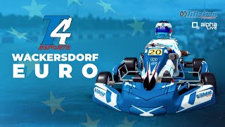 Tillotson T4 2023 eSports EURO  Wackersdorf [upl. by Correy142]