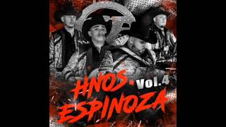 Hermanos Espinoza  Hnos Espinoza Vol 4 Album Completo [upl. by Germaun]