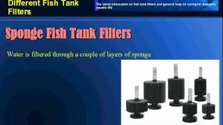 Advantages And Disadvantages Of Different Fish Tank Filters [upl. by Adnamra]