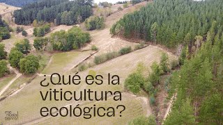 ¿Qué es la viticultura ecológica  Entrevista LIFE MENUdaTIERRA [upl. by Nnuahs]