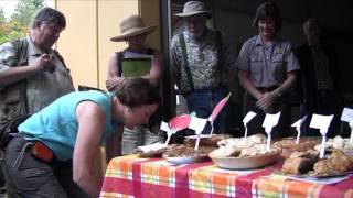 Festival of Fruit at Pipers Orchard September 24 2011 [upl. by Irodim]