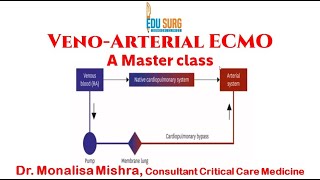 Venoarterial ECMO VA ECMO  Indications ventilator management Lifesaving cardiac support [upl. by Lavella789]