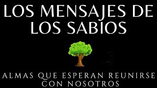 Los mensajes de los sabios Brian weiss Audiolibro completo en español voz humana [upl. by Nairdna]