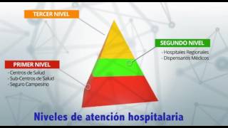 Niveles de atención de salud [upl. by Nasho]