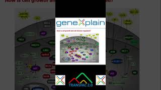 How Cancer Cells Defy Control Cell Growth amp Division  World Cancer Research Day genesequencing [upl. by Burley9]