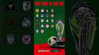 Sigue con BeSoccer la Liga MX [upl. by Baiel]