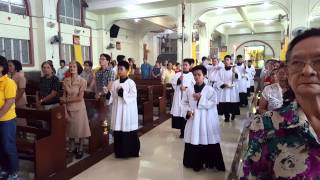 Entrance Procession San Agustin Parish [upl. by Carlynne]