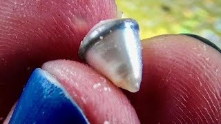 RARE PEARL FOUND IN OYSTER NO IDEA WHAT IT IS [upl. by Dolph]