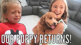 EMOTIONAL REUNION with our PUPPY  Our Puppy Returns Back Home [upl. by Ordisi]