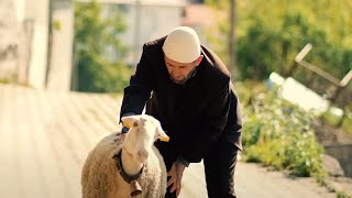 KURBANI BIBES PER KURBAN BAJRAMFerma Esnafi [upl. by Skippie150]