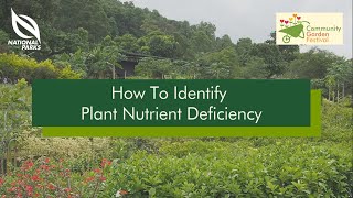 How To Identify Plant Nutrient Deficiency  Community Garden Festival 2020 [upl. by Etep458]