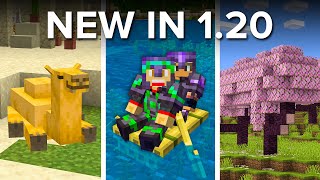 Everything NEW in Minecraft 120 Update [upl. by Treat]