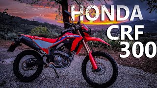 🤔 HONDA CRF 300 L  DOBBIAMO PARLARNE  RECENSIONE PROVA  TEST RIDE  DELIRIUM ADVENTURE [upl. by Rol635]